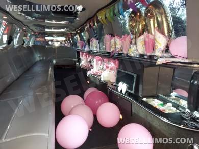 Ultra Stretch S.U.V 18-Passenger Lincoln Navigator Limousine
