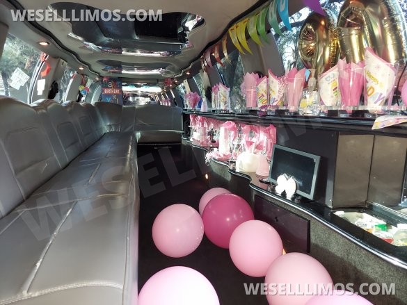 Ultra Stretch S.U.V 18-Passenger Lincoln Navigator Limousine