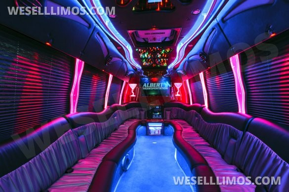 2011 Ameritrans Ford F450 Limo Bus