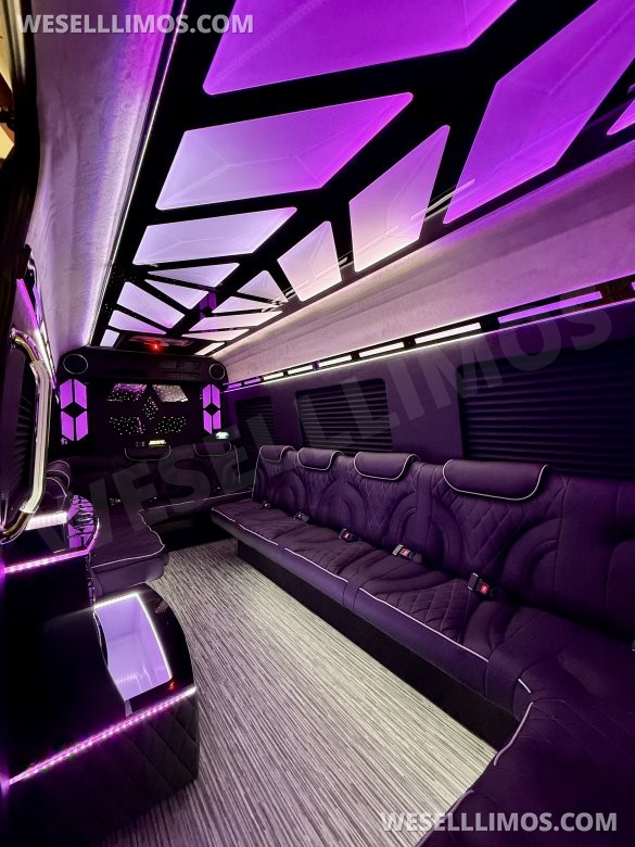 More Than Luxury - A custom Light show on wheels