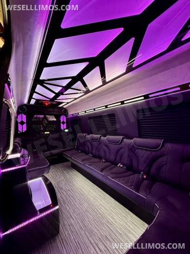 More Than Luxury - A custom Light show on wheels