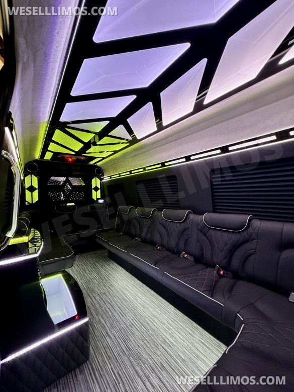 More Than Luxury - A custom Light show on wheels