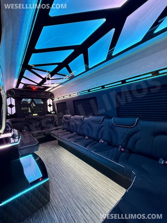More Than Luxury - A custom Light show on wheels