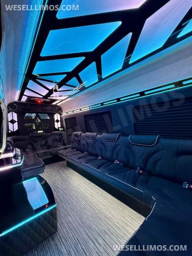 More Than Luxury - A custom Light show on wheels