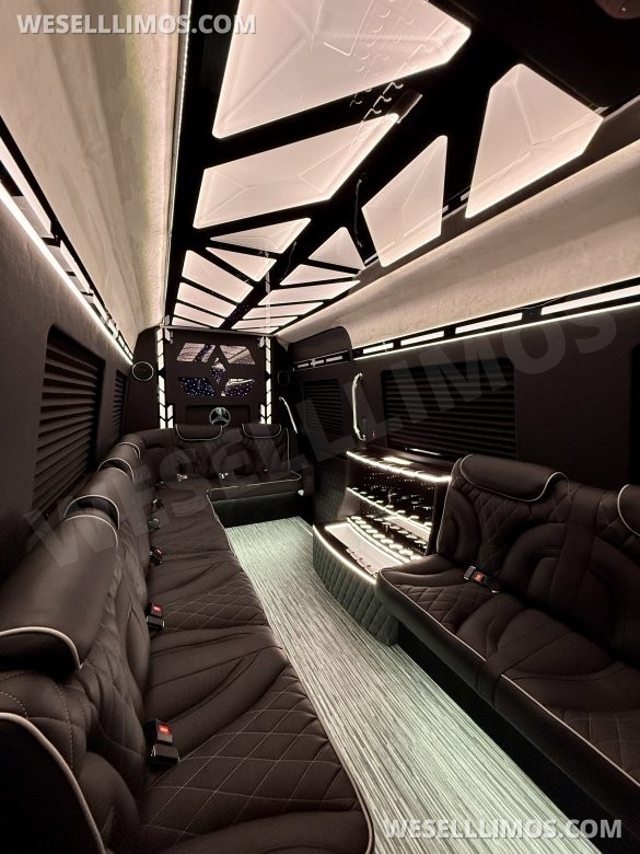 More Than Luxury - A custom Light show on wheels