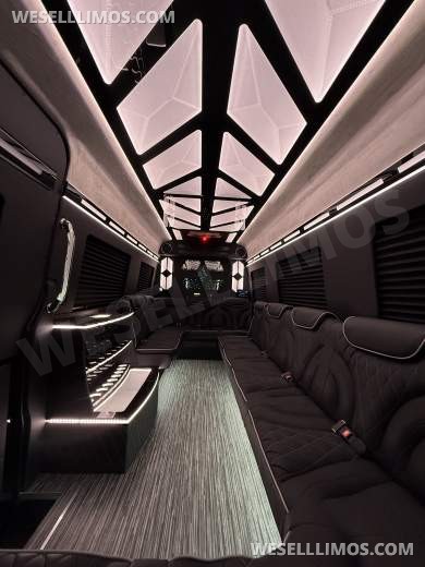 More Than Luxury - A custom Light show on wheels 14 Passenger - Sprinter for Sale in Springfield, MO - Photo 15