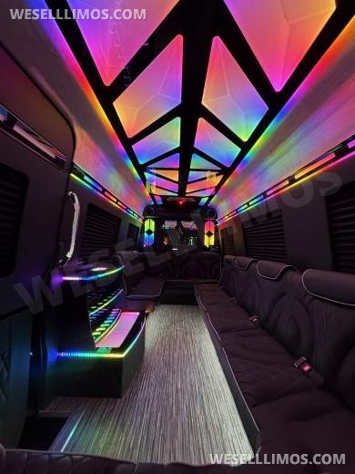 More Than Luxury - A custom Light show on wheels 14 Passenger