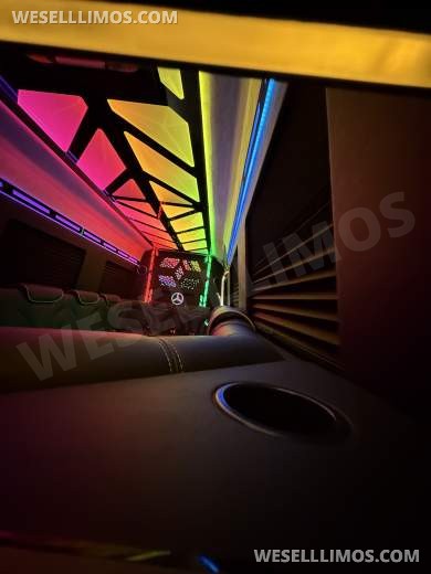 More Than Luxury - A custom Light show on wheels 14 Passenger - Sprinter for Sale in Springfield, MO - Photo 18