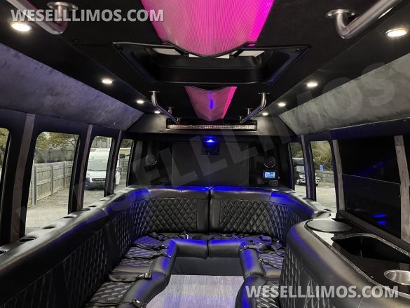 2014 Newport Ford E 450 Battisti  Limo Bus