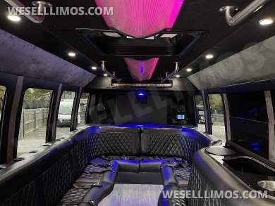 2014 Newport Ford E 450 Battisti  Limo Bus