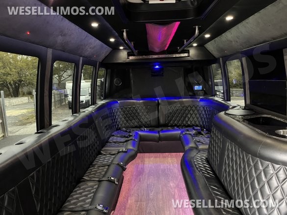 2014 Newport Ford E 450 Battisti  Limo Bus