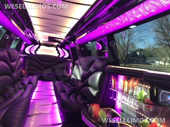 Used 2019 Escalade Limousine w/ Jet Doors For Sale