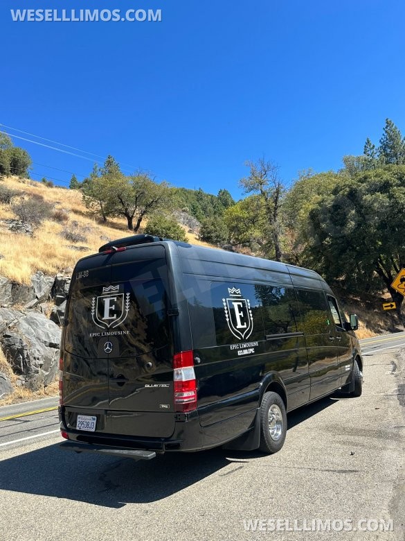 2016 GRECH Motors Mercedes-Benz Sprinter 3500 GRECH Limo Sprinter