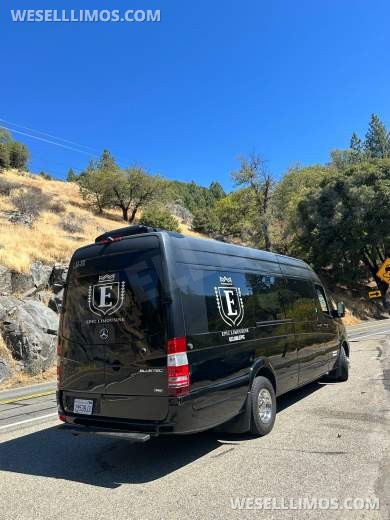 2016 GRECH Motors Mercedes-Benz Sprinter 3500 GRECH Limo Sprinter