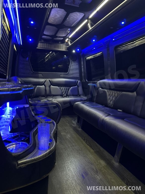 2016 GRECH Motors Mercedes-Benz Sprinter 3500 GRECH Limo Sprinter