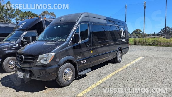 2016 GRECH Motors Mercedes-Benz Sprinter 3500 GRECH Limo Sprinter