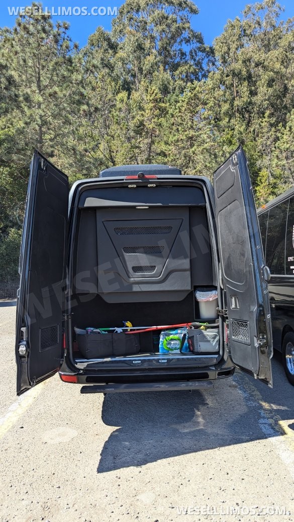 2016 GRECH Motors Mercedes-Benz Sprinter 3500 GRECH Limo Sprinter