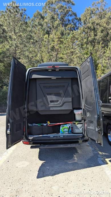 2016 GRECH Motors Mercedes-Benz Sprinter 3500 GRECH Limo Sprinter