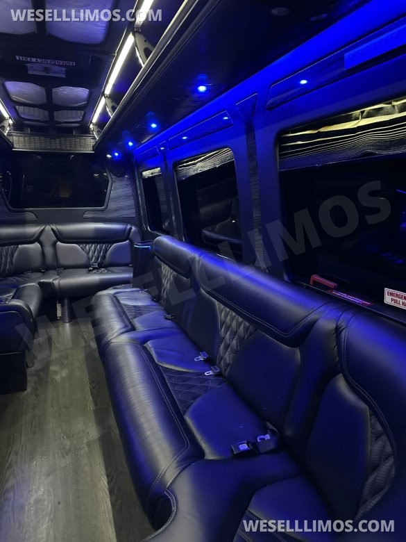 2016 GRECH Motors Mercedes-Benz Sprinter 3500 GRECH Limo Sprinter