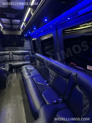 2016 GRECH Motors Mercedes-Benz Sprinter 3500 GRECH Limo Sprinter