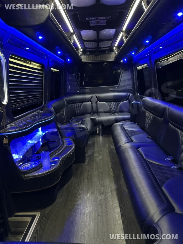 2016 GRECH Motors Mercedes-Benz Sprinter 3500 GRECH Limo Sprinter
