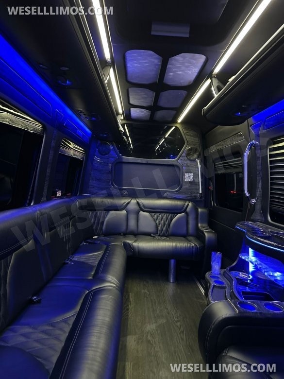 2016 GRECH Motors Mercedes-Benz Sprinter 3500 GRECH Limo Sprinter