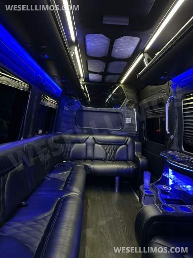 2016 GRECH Motors Mercedes-Benz Sprinter 3500 GRECH Limo Sprinter