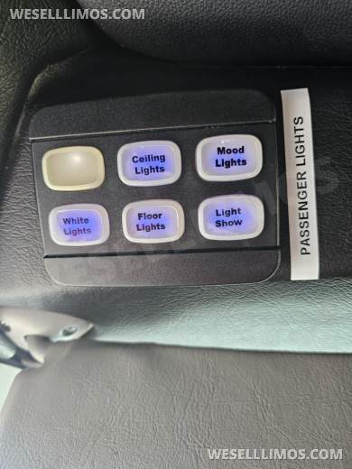 2019 Berkshire / Battisti Limo Ford E450 Limo Bus