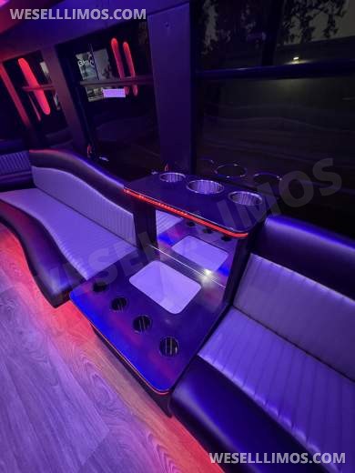 2012 Custom Mobile Conversions Ford F-550 Limo Bus
