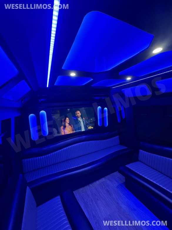 2012 Custom Mobile Conversions Ford F-550 Limo Bus