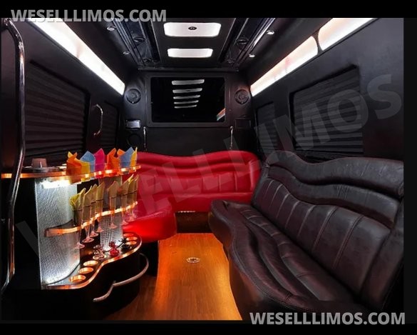 2013 Mercedes-Benz Party Bus Sprinter