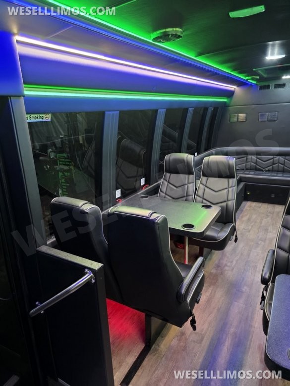2018 Global Motor Coach Ford E450 Limo Coach Limo Bus 20 Pax Only 17K miles