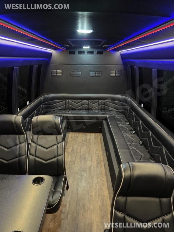 2018 Global Motor Coach Ford E450 Limo Coach Limo Bus 20 Pax Only 17K miles