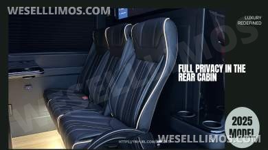 2025 Luxury Deluxe Sprinter - 13 Pax VIP - You Deserve Better -