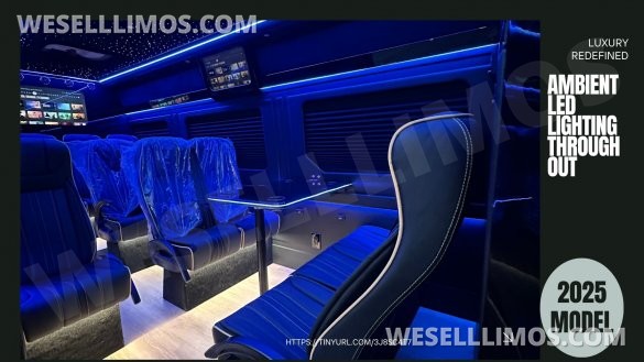 2025 Luxury Deluxe Sprinter - 13 Pax VIP - You Deserve Better -