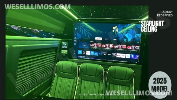 2025 Luxury Deluxe Sprinter - 13 Pax VIP - You Deserve Better -