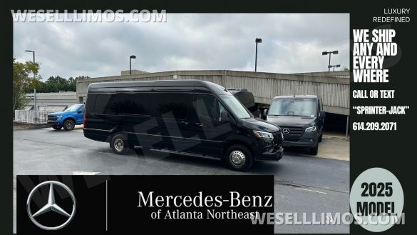 2025 Luxury Deluxe Sprinter - 13 Pax VIP - You Deserve Better -
