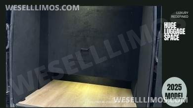 2025 Luxury Deluxe Sprinter - 13 Pax VIP - You Deserve Better -