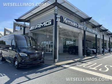 2025 Luxury Deluxe Sprinter - 13 Pax VIP - You Deserve Better -