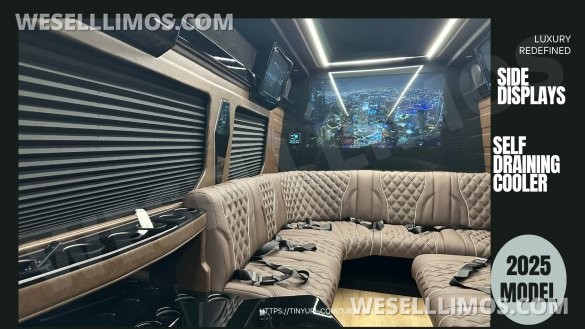 2025 Limo Style Sprinter - Stop Settling - 12 Passenger Luxury