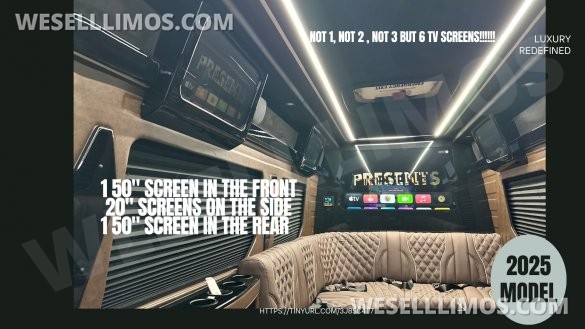 2025 Limo Style Sprinter - Stop Settling - 12 Passenger Luxury