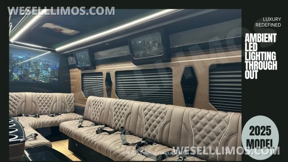 2025 Limo Style Sprinter - Stop Settling - 12 Passenger Luxury