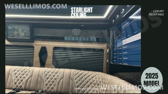 2025 Limo Style Sprinter - Stop Settling - 12 Passenger Luxury