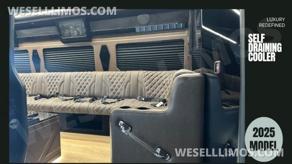 2025 Limo Style Sprinter - Stop Settling - 12 Passenger Luxury