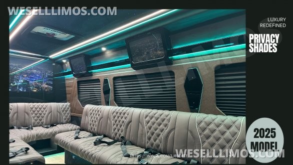 2025 Limo Style Sprinter - Stop Settling - 12 Passenger Luxury