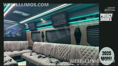 2025 Limo Style Sprinter - Stop Settling - 12 Passenger Luxury