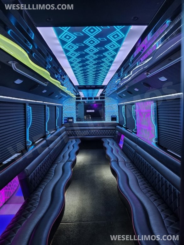 2015 Ford F550 Limo Bus for Sale in Erie, PA - Photo 3