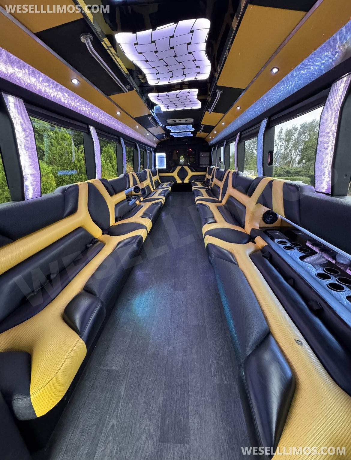 Photo of Limo Bus for sale: 2015 Freightliner M2 38&quot; by Pinnacle