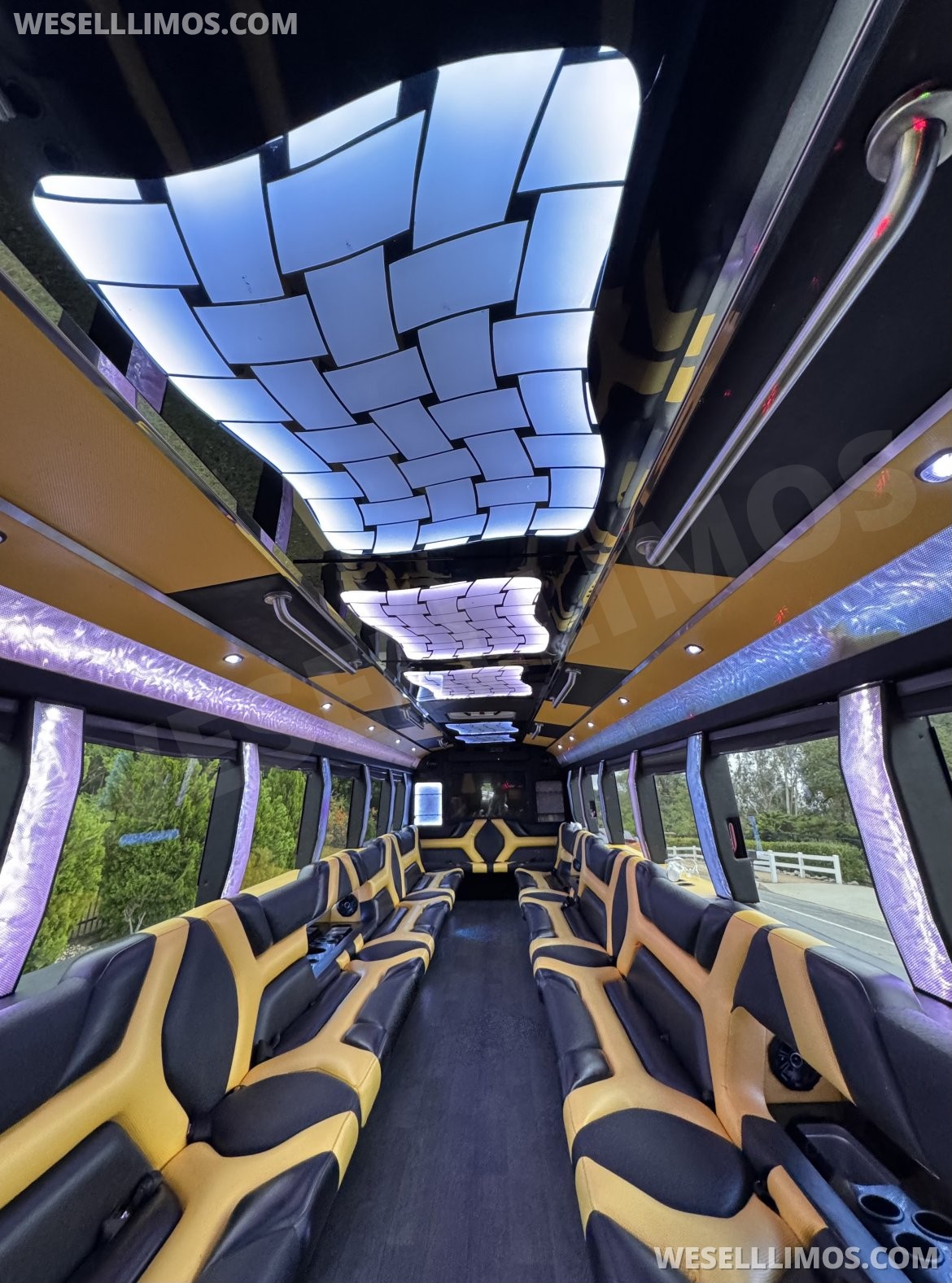Photo of Limo Bus for sale: 2015 Freightliner M2 38&quot; by Pinnacle