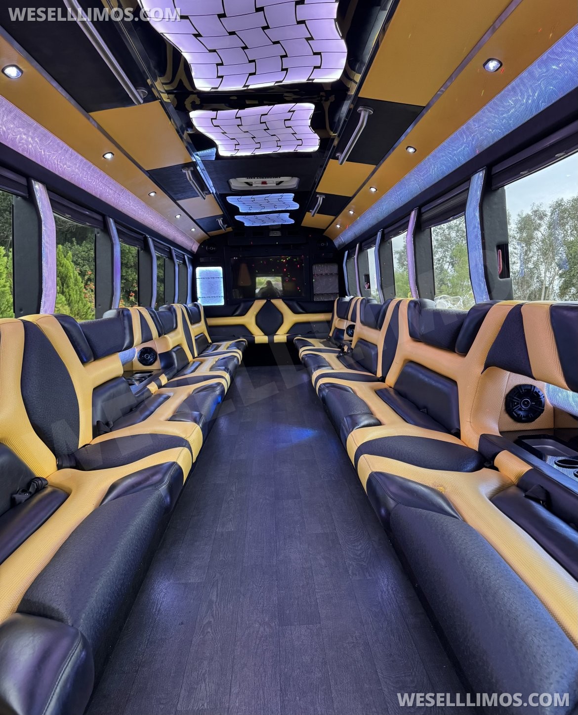 Photo of Limo Bus for sale: 2015 Freightliner M2 38&quot; by Pinnacle
